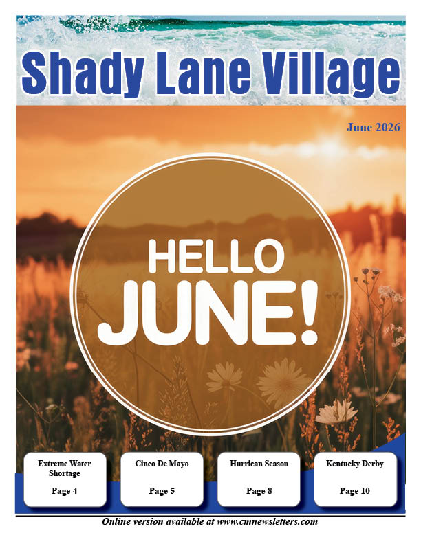 Shady Lane Village